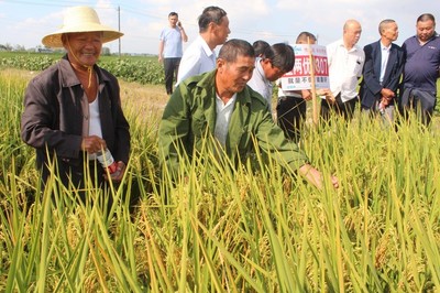 市农科所召开庆祝农民丰收节暨水稻绿色生产技术模式现场观摩交流会