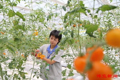 淄博:打造丘陵地区的特色农业“实验田”